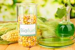 Brunstane biofuel availability