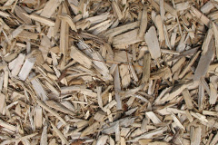 biomass boilers Brunstane